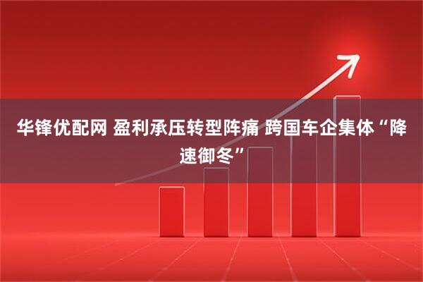 华锋优配网 盈利承压转型阵痛 跨国车企集体“降速御冬”